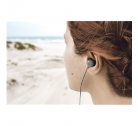 ACME HE21G Earphones With Mic
